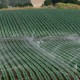 Recycled Water Agriculture Irrigation