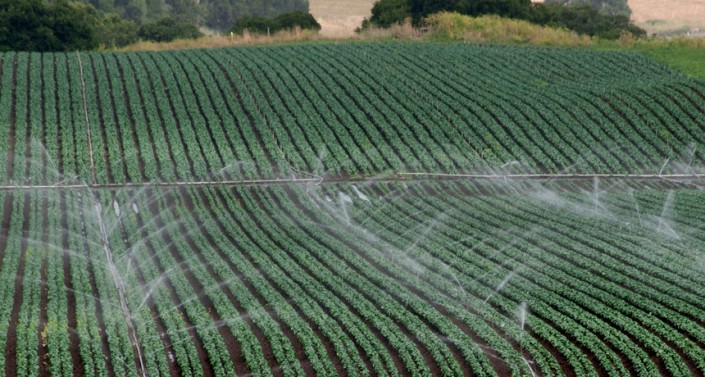 Recycled Water Agriculture Irrigation